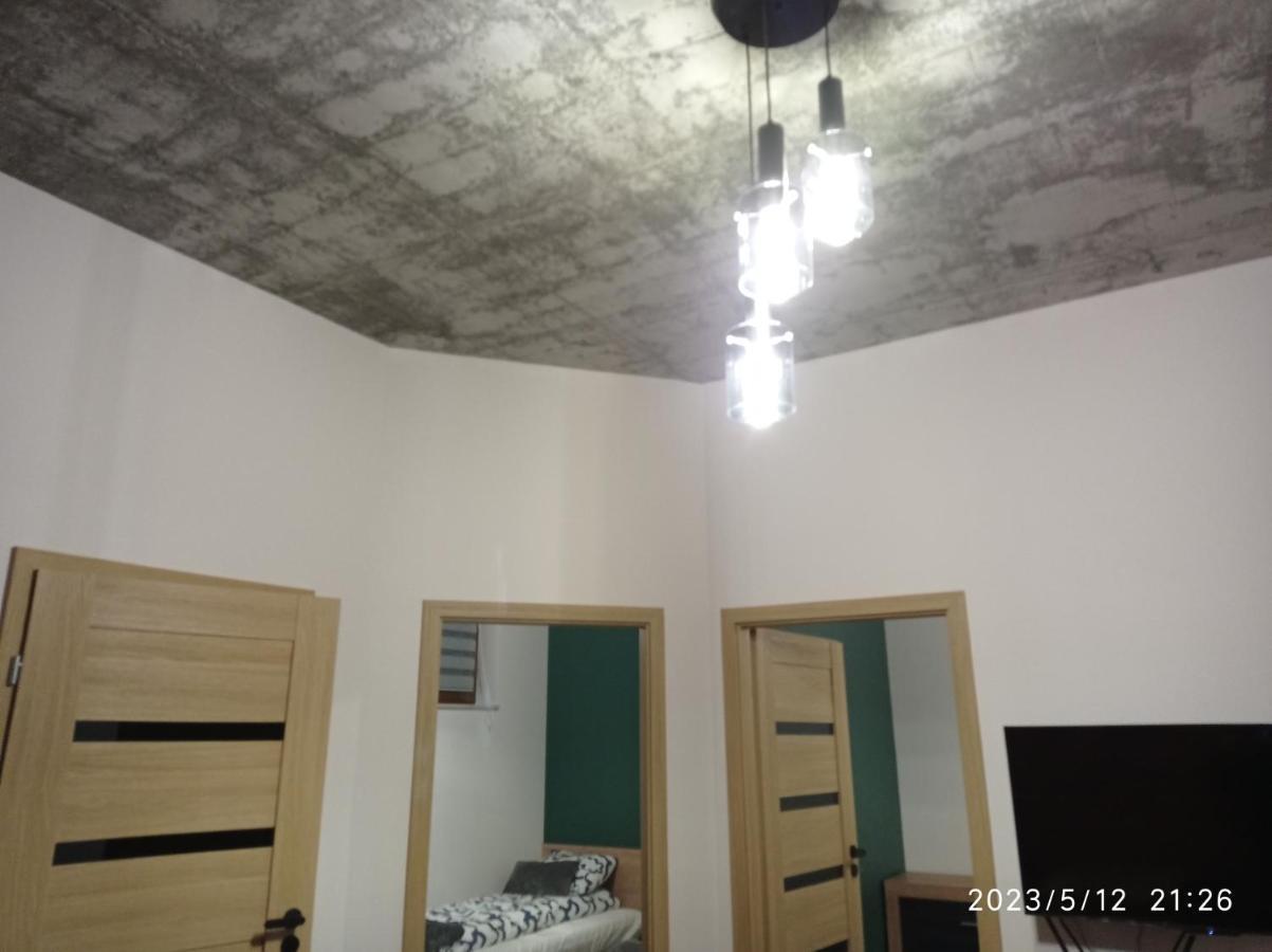 Villa Loft Park Zator, Lokalizacja Przy Wej Parku Esterno foto