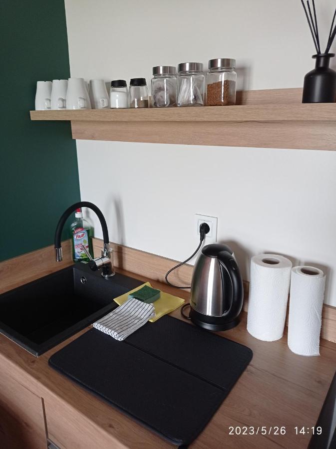Villa Loft Park Zator, Lokalizacja Przy Wej Parku Esterno foto